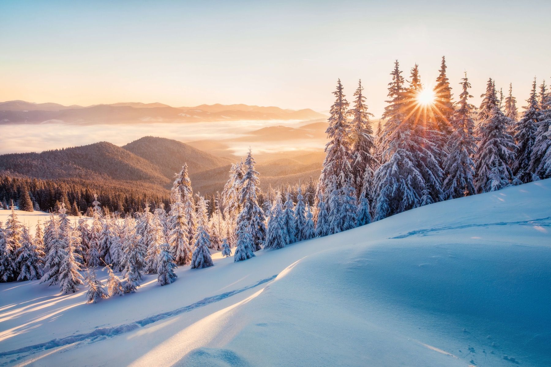 Winter Favorites