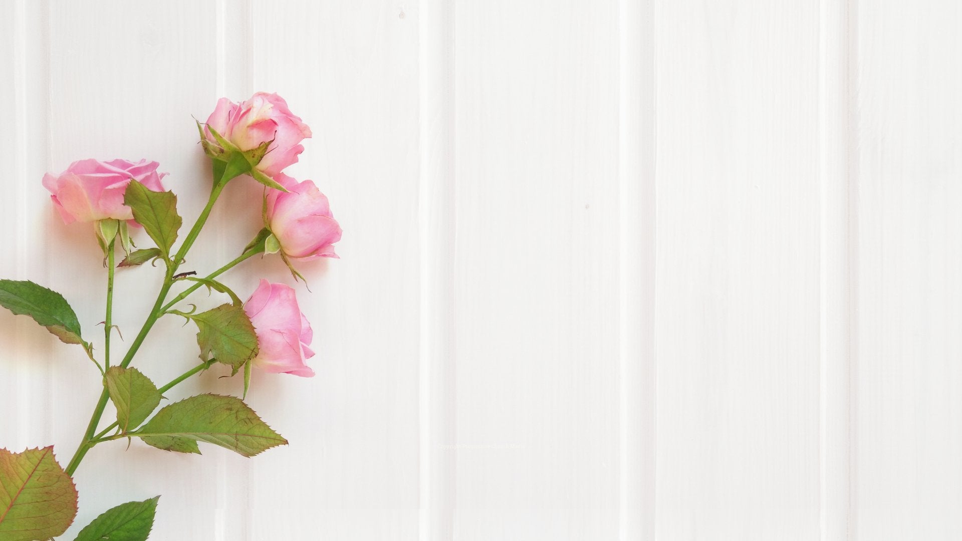 Mother's Day Favorites