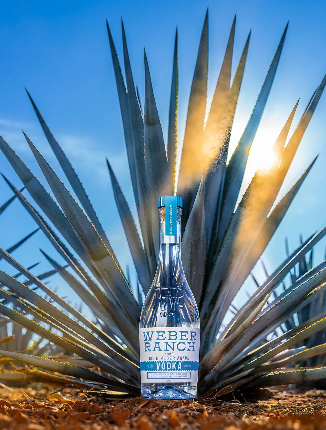 Weber Ranch Blue Weber Agave Vodka