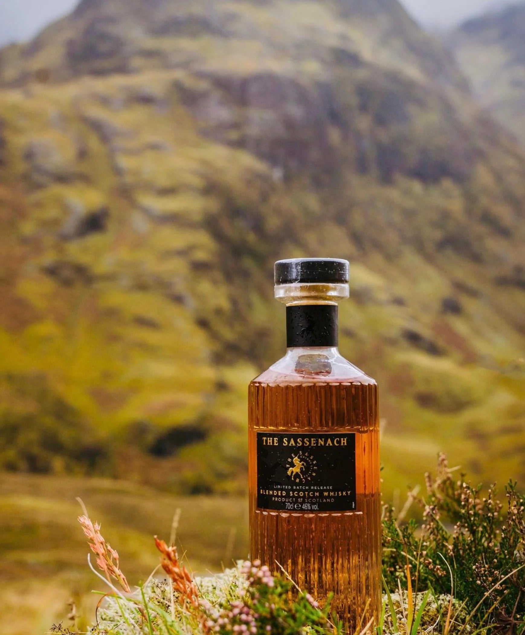 The Sassenach Blended Scotch Whisky