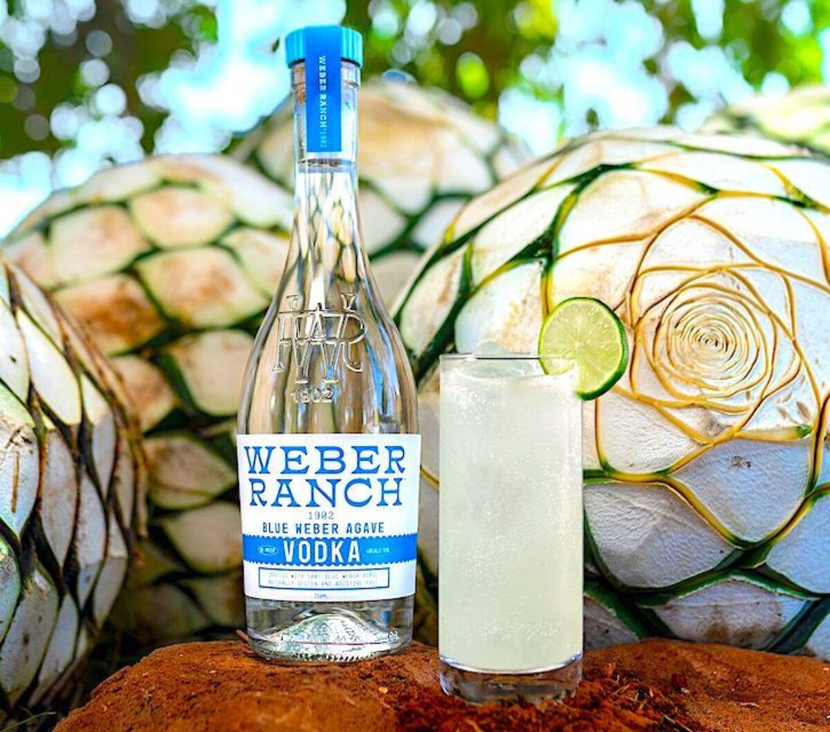 Weber Ranch Blue Weber Agave Vodka