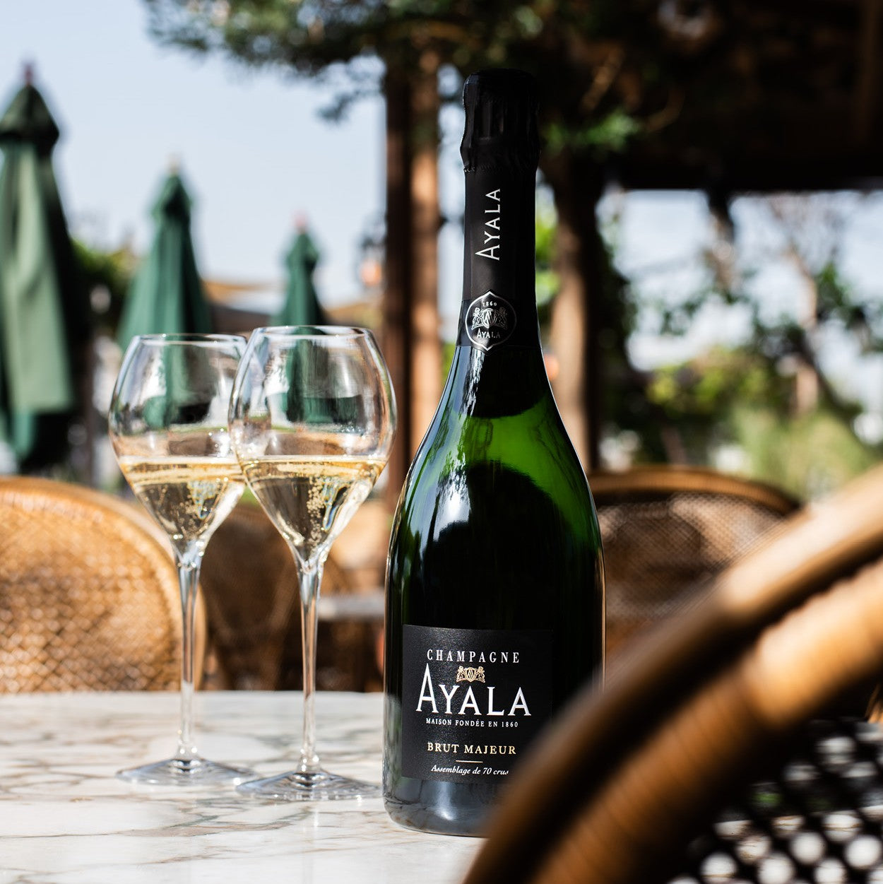 Ayala Brut Majeur Champagne